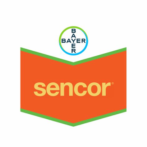 Лексус sc 480 Лексус sc 480